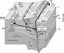 Block Diagram Showing The Whittier Fault A Blind Thrust Component Within The Larger San Andreas Fault System In The Area Of San Andreas Fault Kearney Geology