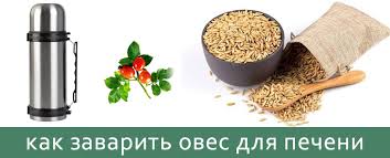 как правильно приготовить отвар из овса для лечения печени Kak Pravilno Svarit Oves Rybolovnyj Karavan