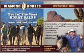 Diamond J Horses Auction Catalog