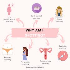 You will get discharge before your period and maybe even after it. Why Am I Spotting Before Or After My Period Nourished Natural Health
