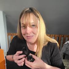 Heeler attacking Westie