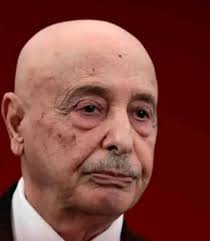 قروب الرسمي صندوق الضمان الاجتماعي ليبيا