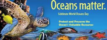 Since 2002, the world ocean network has been responsible for supporting and organizing. World Oceans Day Beach Cleanup Keep Brevard Beautiful Florida