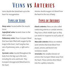Veins Vs Arteries In 2021 Medical Assistant Student Medical Assistant School Medical School Studying