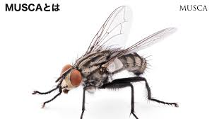 【ICC】INDUSTRY CO-CREATION