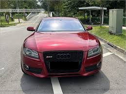 Image result for Garnet Red 2010 A5