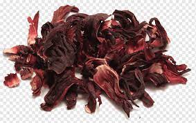 We did not find results for: Rosela Png Pngwing