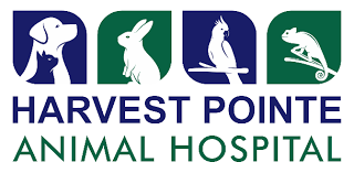 Photos, address, and phone number, opening hours, photos, and user reviews on yandex.maps. Meet The Staff Veterinarian In Edmonton Ab Harvest Pointe Animal Hospital