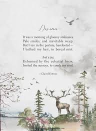 Pluviophile Rain Poems Nature Poetry By Clairel Estevez Rain Poems Poems Poetry