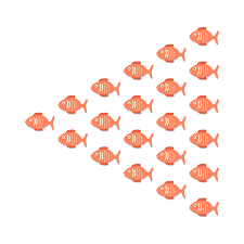 20 high quality group of fish clipart png in different resolutions. Fish Sea Group Free Vector Graphic On Pixabay