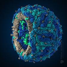 Pin On Virus