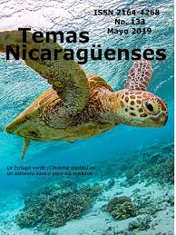 La novela el yerno millonario esboza la vida del niño en los primeros capítulos de manera vívida. Revista De Temas Nicaraguenses No 133 Organismos Bienestar