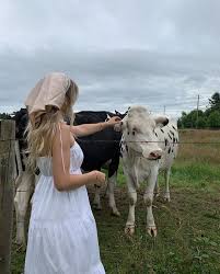 Pin By Annabelle On Cottagecore Summer Aesthetic Photo Cute