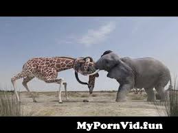 स र वजन क प र क ग र क त स थ न क न ल म ब द कर; à¤œ à¤¨à¤µà¤° à¤• à¤à¤¸ à¤• à¤°à¤¨ à¤® à¤œ à¤¨ à¤¹ à¤¦ à¤–à¤¨ à¤• à¤² à¤ à¤¨à¤¸ à¤¬ à¤²à¤—à¤¤ à¤¹ 8 Most Powerful And Amazing Animals From à¤œ à¤¨à¤µà¤° à¤¸ à¤²à¤¡à¤• à¤œ à¤¦ à¤ˆ Watch Video Mypornvid Fun