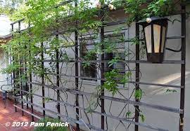 It's my trellis in my garden, who cares? Austin Open Days Tour 2012 Garden Of Yvonne Tocquigny Digging Metal Trellis Iron Trellis Wood Trellis