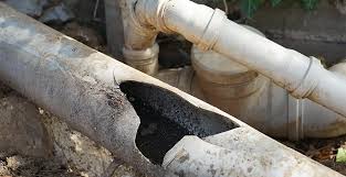 Understanding Broken Sewer Line Symptoms