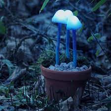 We did not find results for: Glowing Mushroom Fairy Tale Mood Light Magical Forest Home Decor