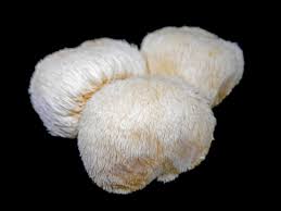 Lion's mane mushrooms may offer some health benefits, such as reducing inflammation, boosting immune function, and improving cognitive health. Lion S Mane Mushrooms Benefits And Side Effects