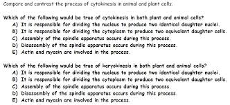 Check spelling or type a new query. Compare And Contrast The Process Of Cytokinesis In Chegg Com