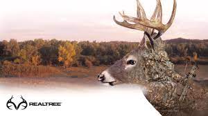 If you have your own one, just create an account on the website and upload a picture. 2560x1440 Outdoor Hunting Backgrounds Whitetail Deer Cool Deer Backgrounds 2560x1440 Wallpaper Teahub Io