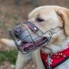 Here are our picks for the best dog muzzles. 1