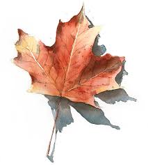 For a round leaf, use a ruler to draw a diagonal line from the top left corner to the bottom right corner. Watercolor Fall Leaves How To Paint Autumn Leaves The Easy Way