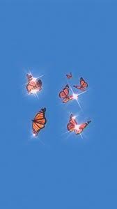 Butterfly Wallpaper In 2020 Butterfly Wallpaper Iphone Butterfly Wallpaper Aesthetic Iphone Wallpaper