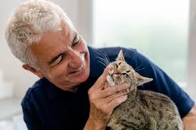 Allgemeines aus der Zahnmedizin