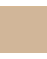 Image result for Tropical Tan 1941 Chrysler