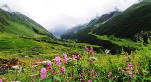 Check spelling or type a new query. Valley Of Flowers Trek Yhai
