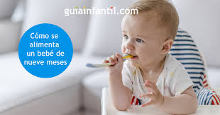Cambios De Habitos En La Alimentacion Del Bebe A Partir De Los 9 Meses
