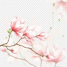 Descarga vídeos libres de derechos de la colección de adobe. Sfondo Di Fiori Ad Acquerello Fiori Foto Di Fiori Png Pngegg