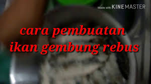 Cara lain membuat pakan ikan adalah dengan membuat sendiri pakan ikan selain pelet tetapi dengan kandungan yang sama. Cara Pembuatan Ikan Gembung Rebus Youtube