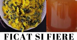 Nu asiguram ca nu au ramas mici insecte si nici praf. DulceaÈa De PÄpÄdie Remediu Naturist Recomandat In Numeroase AfecÈiuni Culinar Avantaje Ro De 20 De Ani Pretuieste Femei Ca Tine