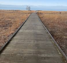 David Oltmanns (@davidoltmanns_) • Instagram photos and videos