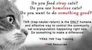 13,423 likes · 105 talking about this · 813 were here. Pets Alive Animal Sanctuary Middletown Ny Hudson Valley