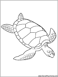 Green Sea Turtle Coloring Page Turtle Coloring Pages Animal Coloring Pages Turtle Drawing