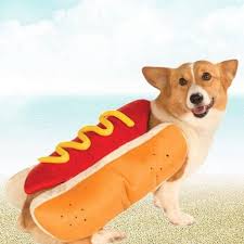 Compre Pet Dog Hamburger Costume Mustard Cat Clothes Outfit For Small Medium Dog Barato Frete Gratis Avaliacoes Reais Com Fotos Joom
