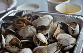 Check spelling or type a new query. New England Steamed Clams Guide Recipes New England Today