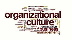 Traditional Culture And Professional Culture