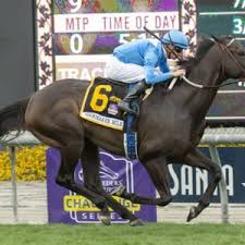 Check out ginger's spelling book and learn how to spell thorough correctly, its definition and how to use it in a sentence! How To Bring Out The Best In Older Horses Five Trainers On The Secrets Of Their Success Topics Richard Mandella Thoroughbred Racing Commentary