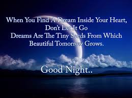 Good Night My Friends Keep The Dreams That Fill Your Heart Alive With Passion And Purpose Jw Good Night Poems Good Night Text Messages Romantic Good Night