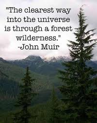 And You Will Make It Through That Forest Hikingquotes Mother Nature Quotes Nature Quotes Adventure Forest Quotes