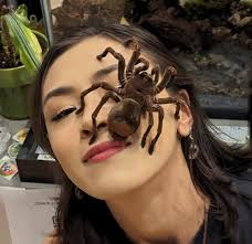 Outstanding Spring 2024 Awards