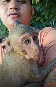 Sochhun's Birthday Celebration