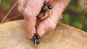 The seeds will take between 2 weeks and a month to germinate, at which point you can transplant them to a location in your garden if the last frost has occurred. How To Collect Flower Seeds Garden Gate