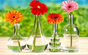 Blumenlexikon mit bildern der einfachste weg of erstellen das haus blick fresh ist in der regel verbessern die möbel mit jedem ahreszeit. 1001 Blumenarten Bilder Und Interessante Fakten