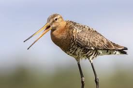 Tetas natalia parish ive was very satisfied with my