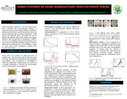 Image result for Strychnos kasengaensis