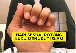 Memotong kuku merupakan kegiatan rutin sehari hari, memotong kuku yang benar akan membuat kuku dan jari kuku potongkuku #drrozaimi #sunnah potong kuku, sunnah potong hari apa? Hari Yang Sesuai Potong Kuku Menurut Islam Budak Bandung Laici
